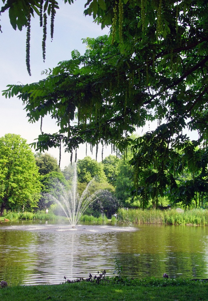 Vondelpark Bike Ride