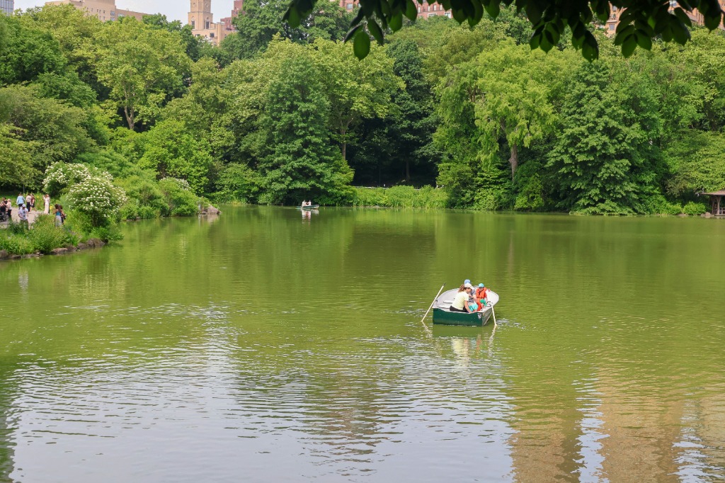 Central Park Rowboat Rental